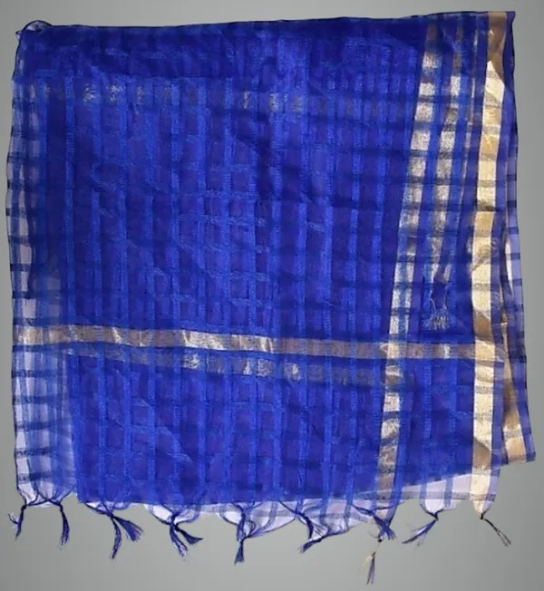 Black_&_Blue_Net_Checke_Dupatta_For_Women