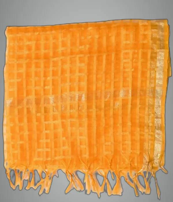 Gold_&_Black_Net_Checke_Dupatta_For_Women