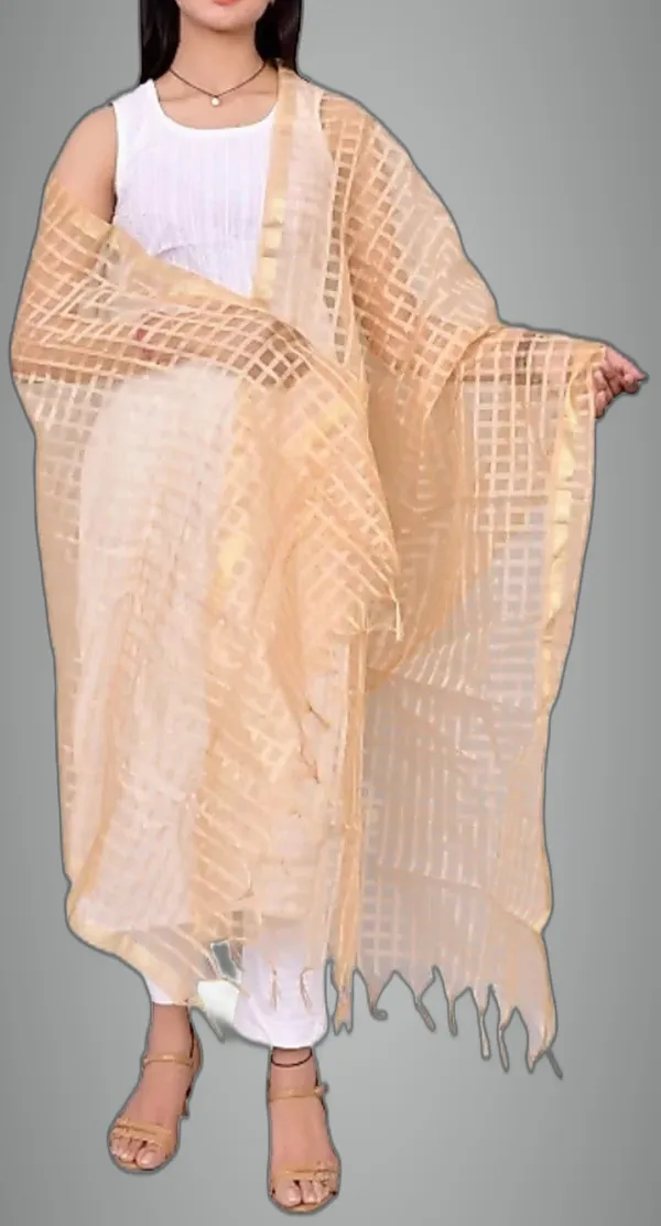 Beige_&_Yellow_Net_Checke_Dupatta_For_Women