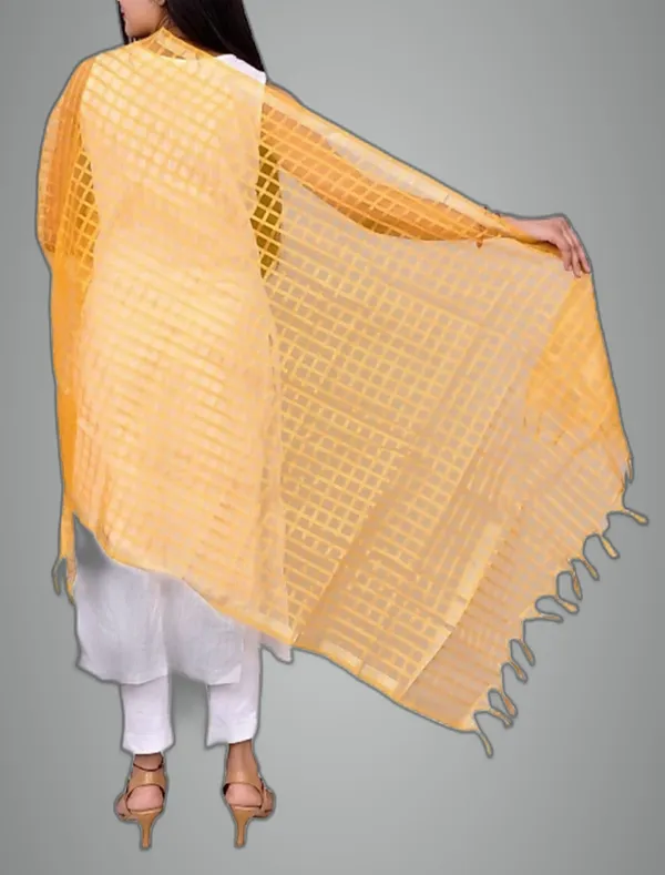 Beige_&_Yellow_Net_Checke_Dupatta_For_Women