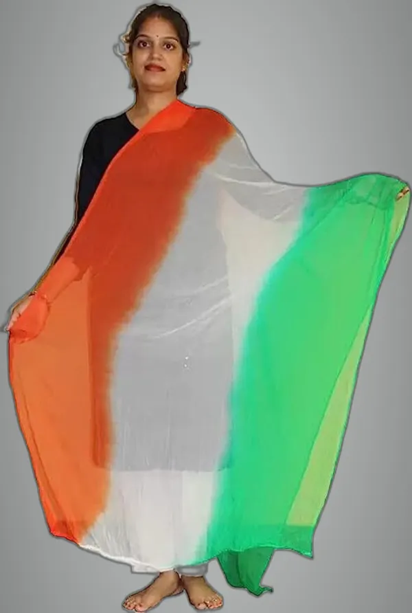Multicolor_Chiffon_Striped_Unisex_Dupatta_For_Unisex