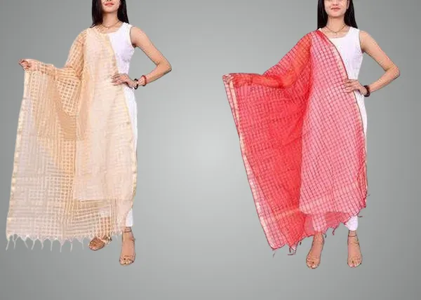 Multicolor_Net_Checke_Dupatta_For_Women