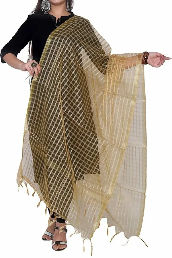 Beige_Net_Checke_Dupatta_For_Women