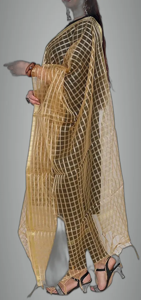 Beige_Net_Checke_Dupatta_For_Women
