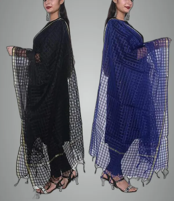 Multicolor_Net_Checke_Dupatta_For_Women
