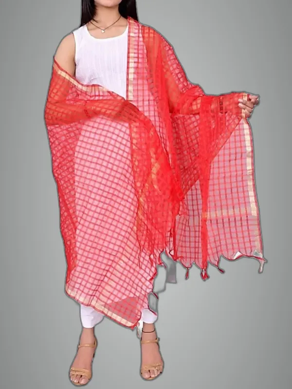 Multicolor_Net_Checke_Dupatta_For_Women