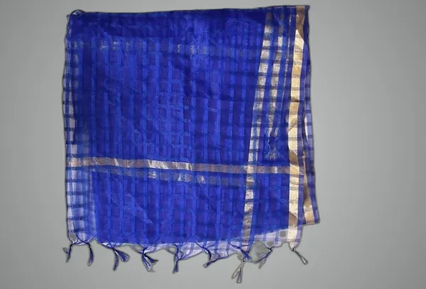 Multicolor_Net_Checke_Dupatta_For_Women