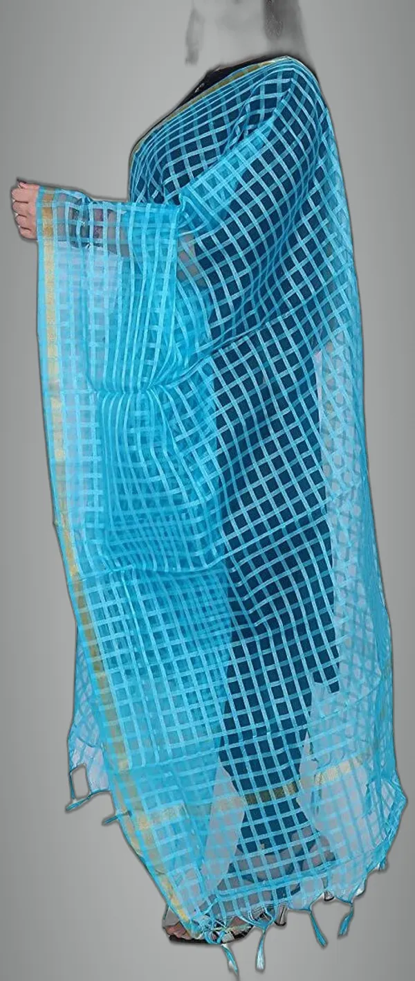 Light_Blue_Net_Checke_Dupatta_For_Women