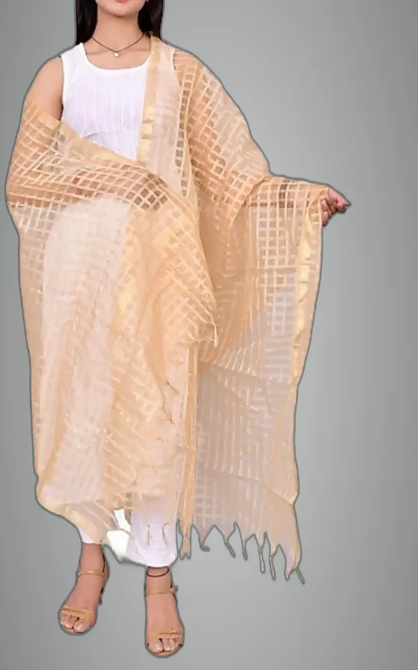 Multicolor_Net_Checke_Dupatta_For_Women