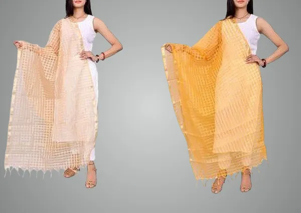 Multicolor_Net_Checke_Dupatta_For_Women