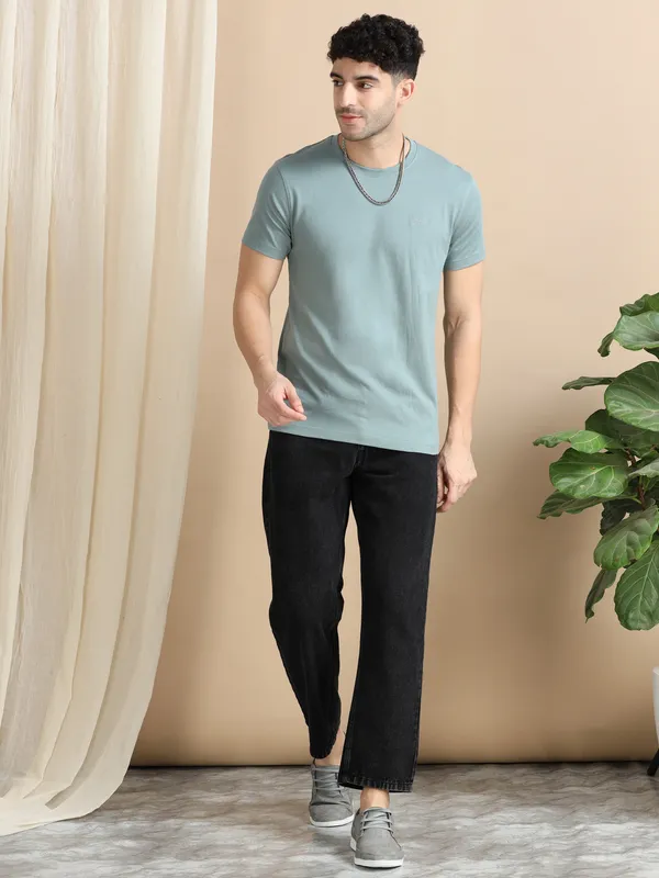 Sage_Cotton_Regular_T-Shirt_For_Men