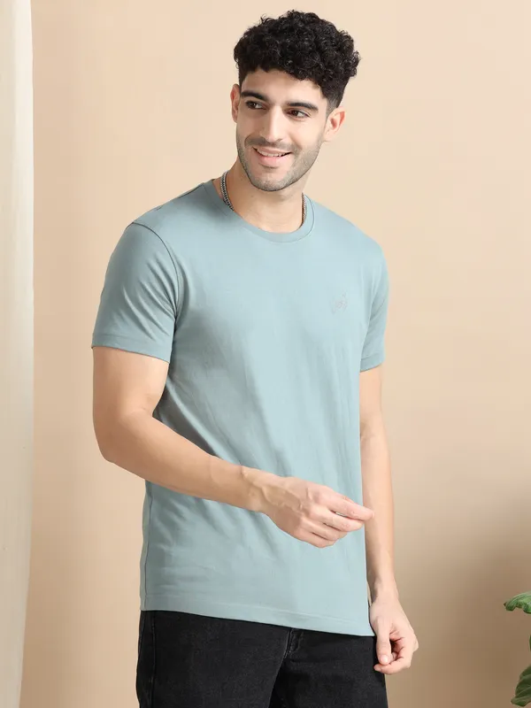 Sage_Cotton_Regular_T-Shirt_For_Men