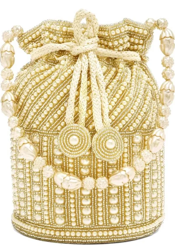 stunning_Hard_Work_Zari_Potli_Bag