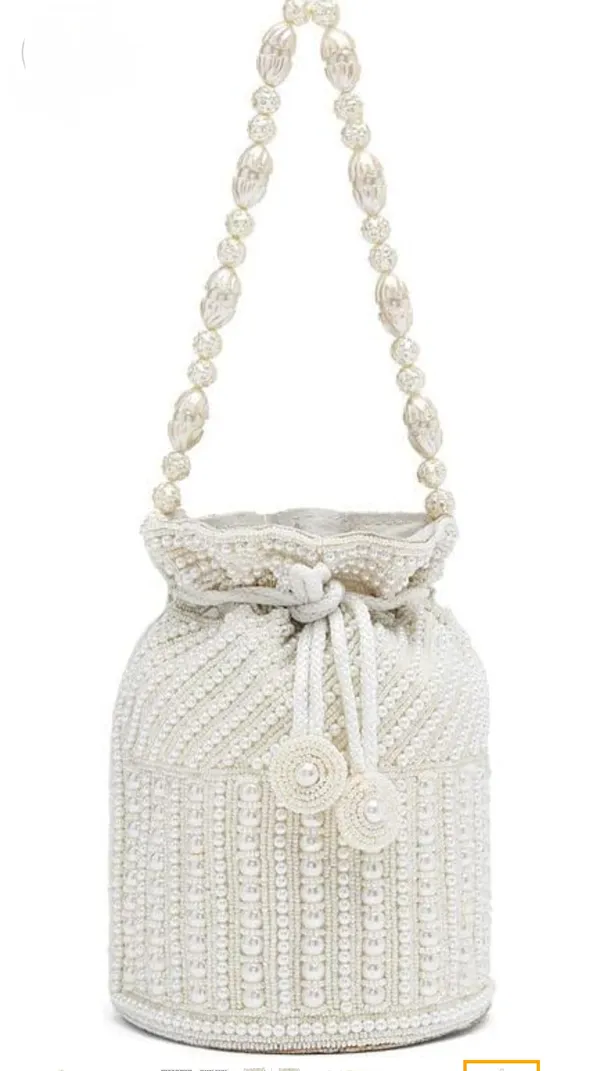 stunning_Hard_Work_Zari_Potli_Bag
