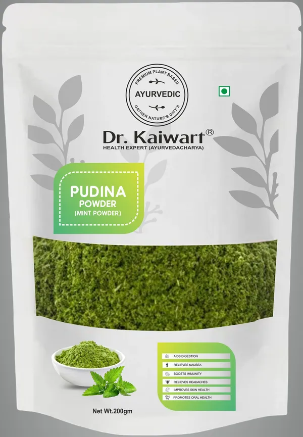 Mint_Powder_All_Purpose_Seasoning_|_Natural_Dry_Mint_Pudina_Powder