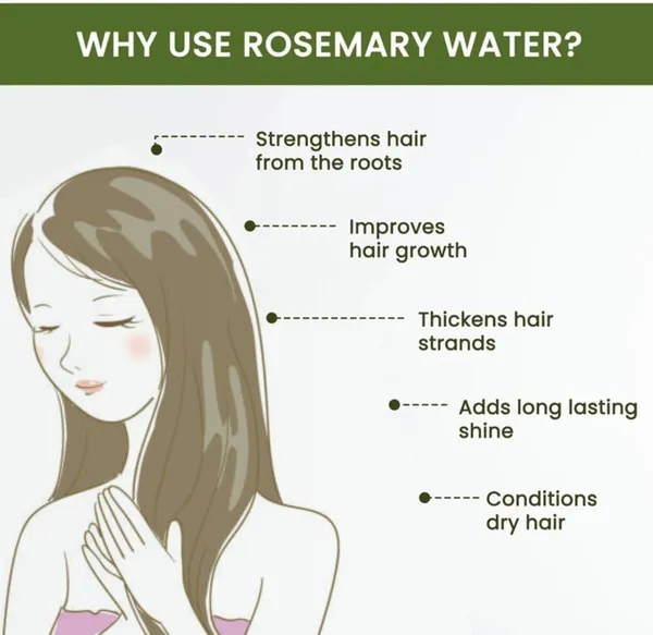 100%_Pure_Rosemary_Water_For_Hair_Growth,_Mist_Spray_Steam_Distilled
