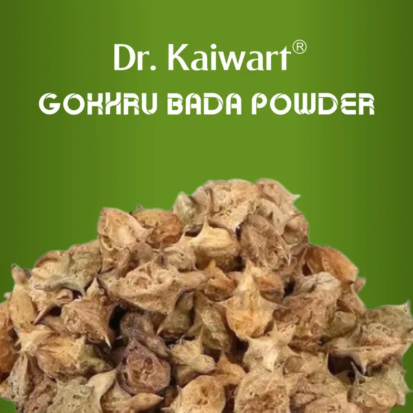 Gokhru_Powder_-_Gokshura_Churn_(200G)_|_Natural_&_Pure_|_Boosts_Immunity