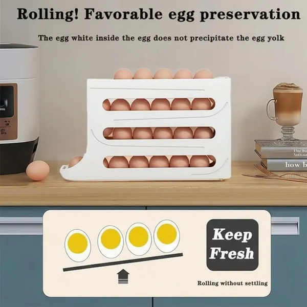 White-Abs_Plastic-Egg_Rack_For_Kitchen