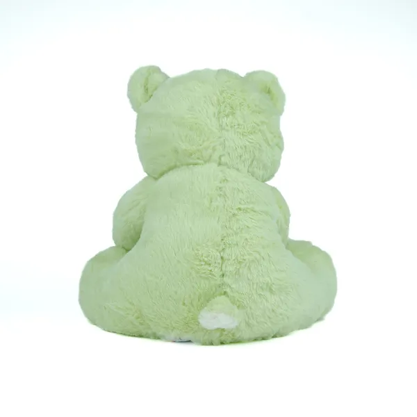 Parrot_Green_Royal_Teddy_Lightweight_Plush_Non_Musical_Soft_Toy_|_Age_3