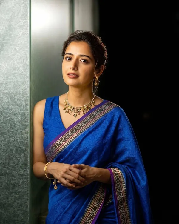 Beautiful_Narayanpet_pure_cotton_saree