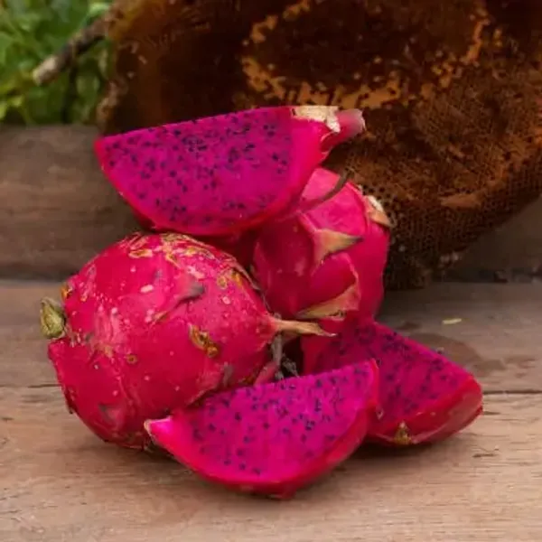 Red_Perfect_For_Adding_Beauty_Dragon_Fruit_Planted