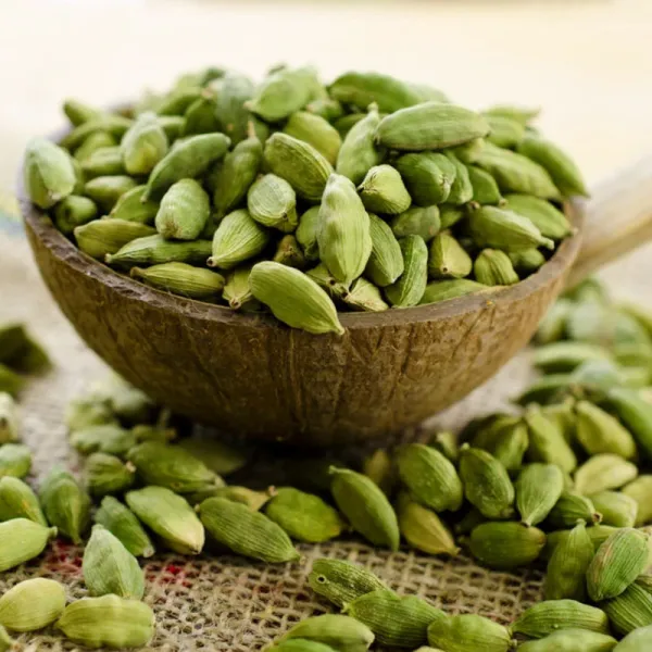 Elaichi_Plant_�_Velchi,_True_Cardamom_Plant