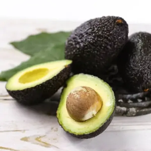 Black_Hass_Avocado_Fruit_Plant