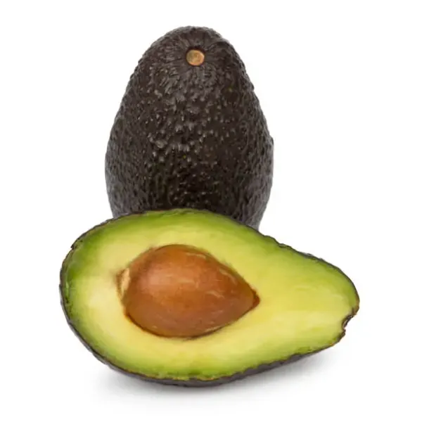 Black_Hass_Avocado_Fruit_Plant