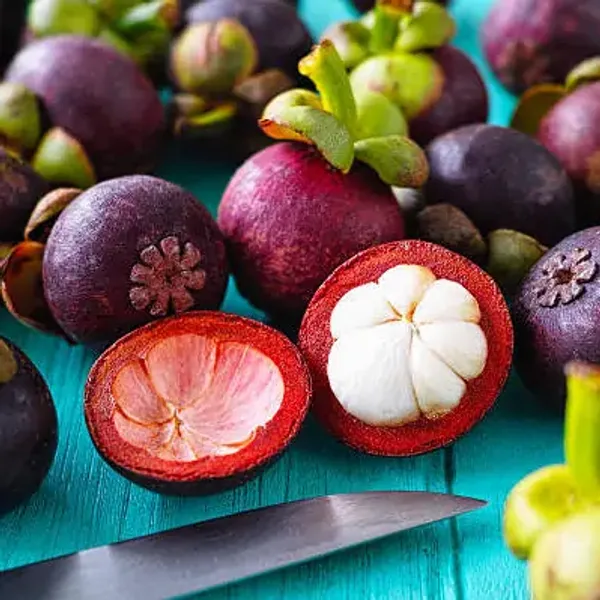 Red_Mangosteen_Grafted_&_Amp_Hybrid_Fruit_Plant