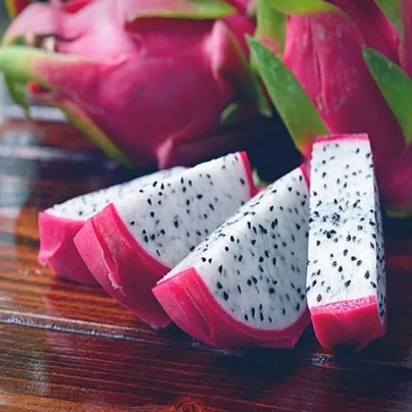 Red_Dragon_Fruit_Plant