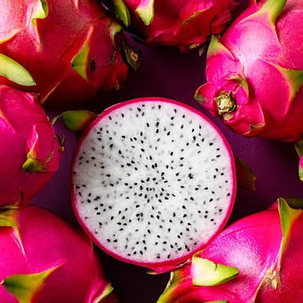 Red_Dragon_Fruit_Plant
