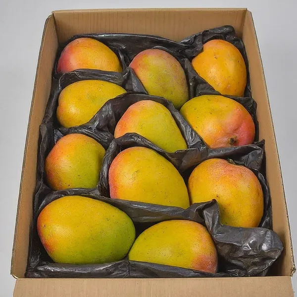 Alphonso_Mango_The_King_Of_Indian_Mangoes