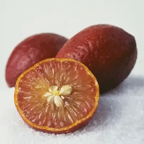 Red_Pati_Lemon_Grafted_Fruit_Plant