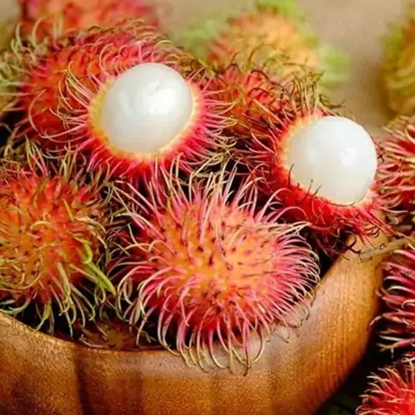 Red_Perfect_For_Adding_Beauty_Rambutan_Fruit_Plant