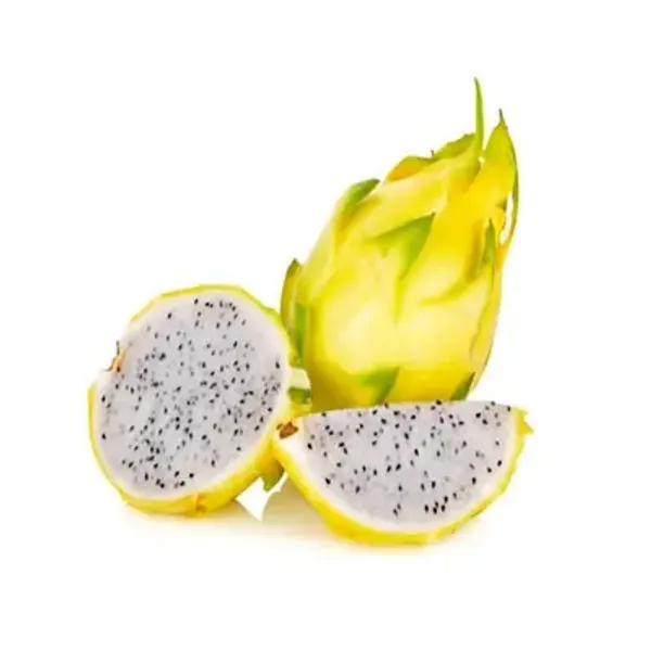 Yellow_Dragon_Fruit_Plant