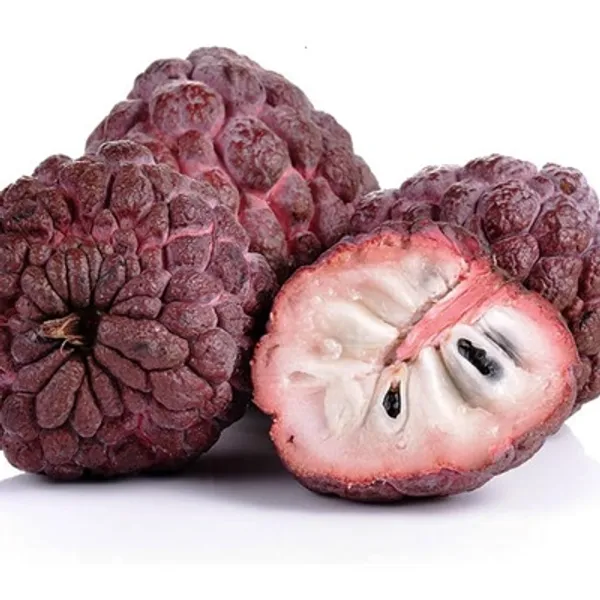 Red_Custard_Apple_Grafted_Fruit_Plant