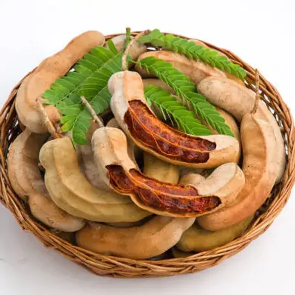 Brown_Sweet_All_Time_Tamarind_Imli_Fruit_Plant
