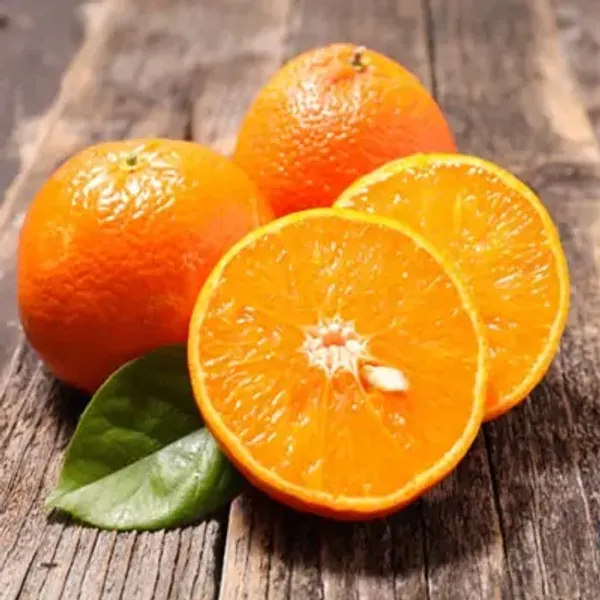 Orange_Seedless_Grafted_&_Amp_Hybrid_Lemon_Fruit_Plant
