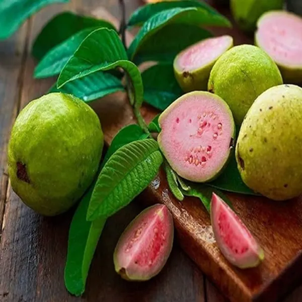 Pink_Lalit_Gauva_Grafted_Fruit_Plant
