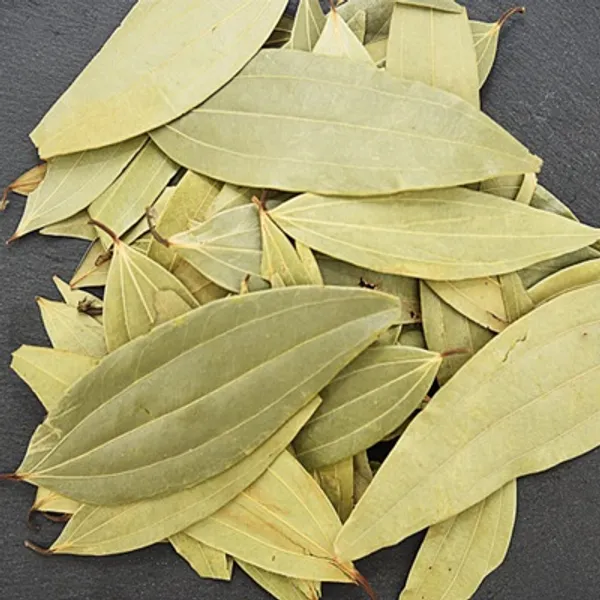 Green_Premium_Bay_Leaf_Plant