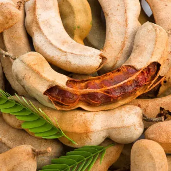 Brown_Thai_Variety_All_Time_Tamarind_Imli_Fruit_Plant
