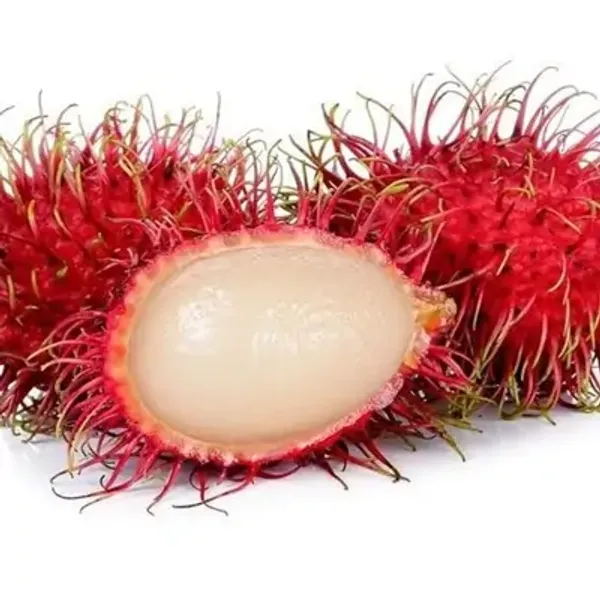 Red_Rambutann18_Grafted_&_Amp_Hybrid_Fruit_Plant