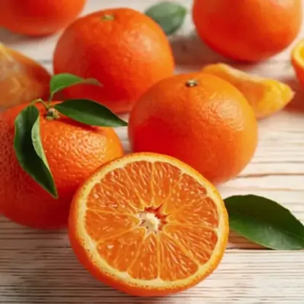Orange_Valencia_Grafted_&_Amp_Hybrid_Lemon_Fruit_Plant