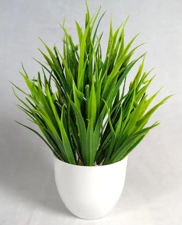 Green_Artificial_Plants_&_Flowers_Mini_Potted_Plants_For_Home_&_Office_Decor_Lifelike_Faux_Plants_For_Living_Room_Desk_Table_&_Shelf_No_Maintenance_Indoor_Decoration_(Pack_Of_2)