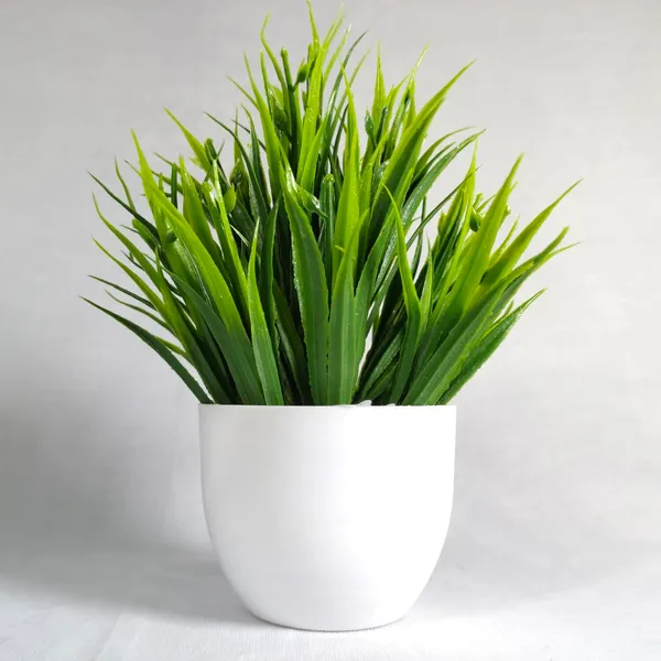 Green_Artificial_Plants_&_Flowers_Mini_Potted_Plants_For_Home_&_Office_Decor_Lifelike_Faux_Plants_For_Living_Room_Desk_Table_&_Shelf_No_Maintenance_Indoor_Decoration_(Pack_Of_2)