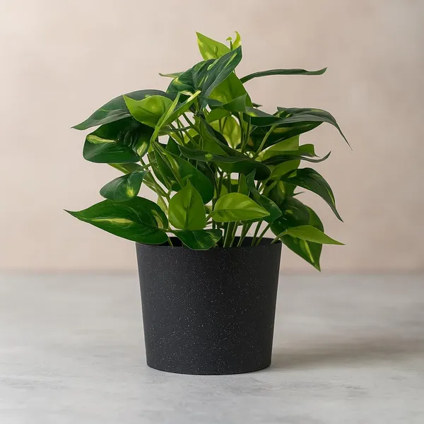 Green_Artificial_Table_Top_Plant_With_Black_Pot_Small_Faux_Indoor_Desk_Plant_For_Home_&_Office_Decor_Low_Maintenance_Decorative_Item