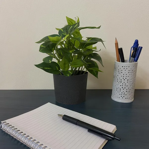Green_Artificial_Table_Top_Plant_With_Black_Pot_Small_Faux_Indoor_Desk_Plant_For_Home_&_Office_Decor_Low_Maintenance_Decorative_Item