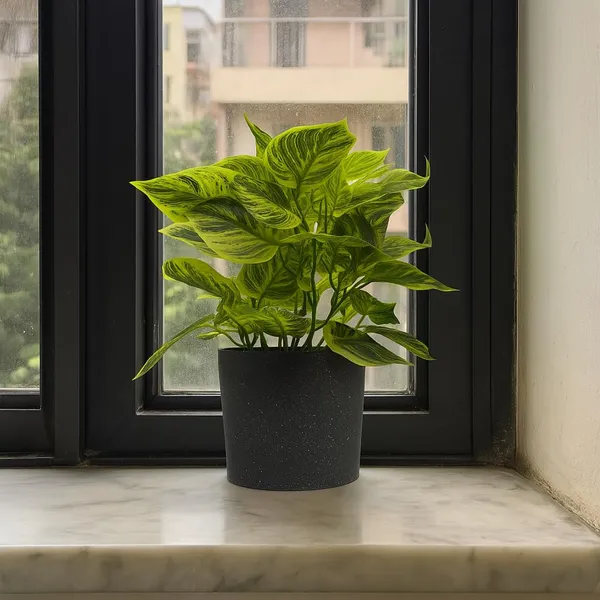 Light_Green_Artificial_Table_Top_Plant_With_Black_Pot_Small_Faux_Indoor_Desk_Plant_For_Home_&_Office_Decor_Low_Maintenance_Decorative_Item_(Height_~30_Cm)