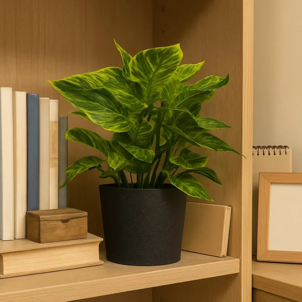 Light_Green_Artificial_Table_Top_Plant_With_Black_Pot_Small_Faux_Indoor_Desk_Plant_For_Home_&_Office_Decor_Low_Maintenance_Decorative_Item_(Height_~30_Cm)