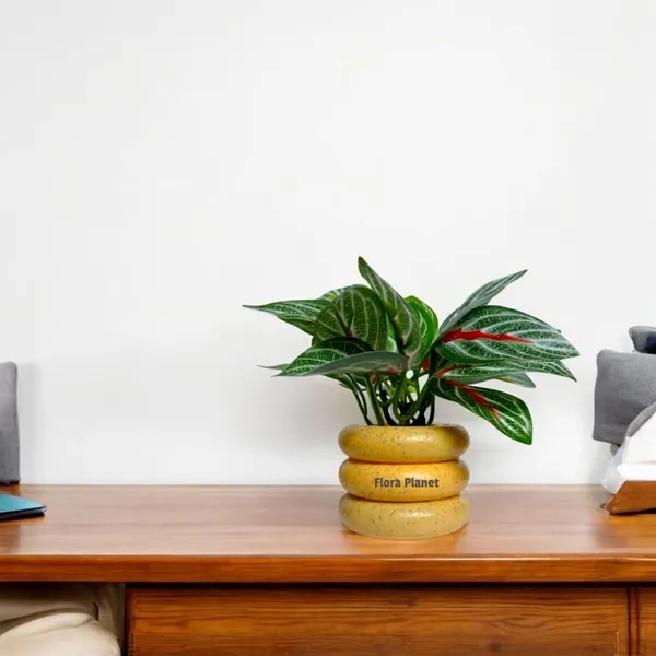 Multicolour_Artificial_Plants_For_Home_Decor_Pack_Of_4_Faux_Mini_Plants_In_Colourful_Pots_Realistic_Indoor_Table_Decoration_No_Watering_Needed_Office_Shelf_&_Living_Room_Accent